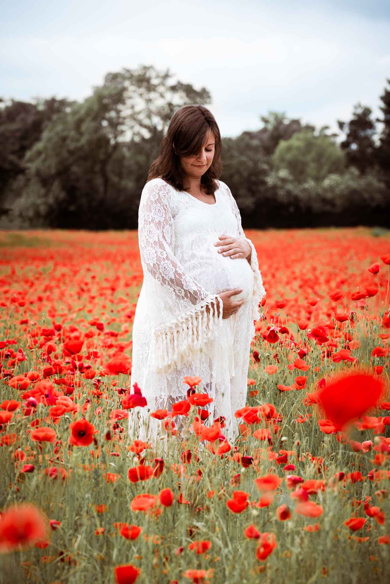 Babybauchshooting im Mohnblumenfeld Fotografin Deutschlandweit Fotografin Hessen